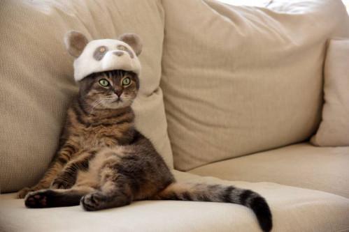 Nukege Hat - Cat In a Hat